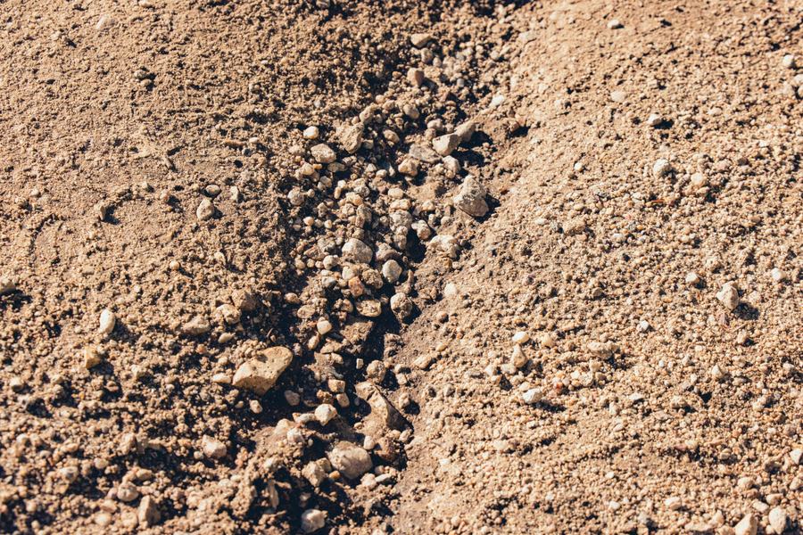 The trail underfoot