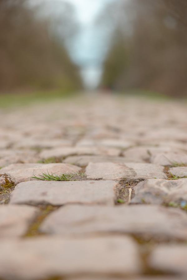 Cobbles, close