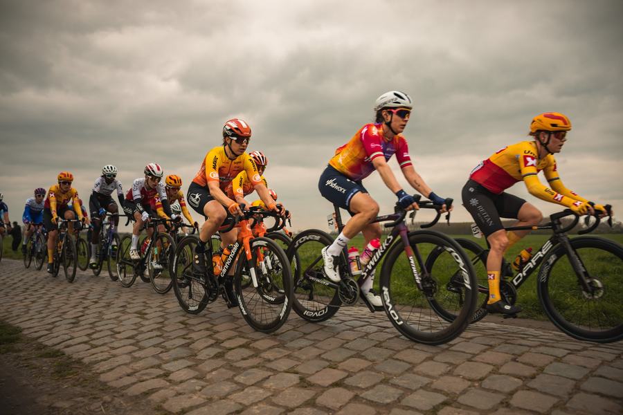 The bunch on the stones