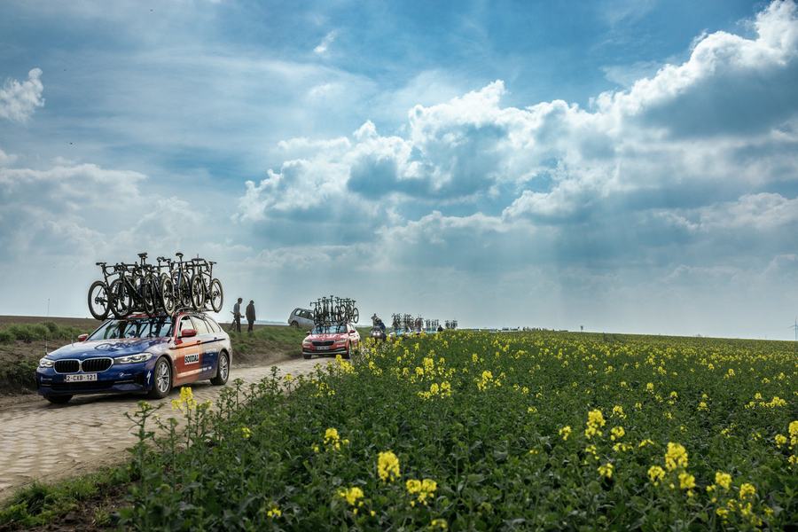 Team cars on the cobbles beside the rapeseed