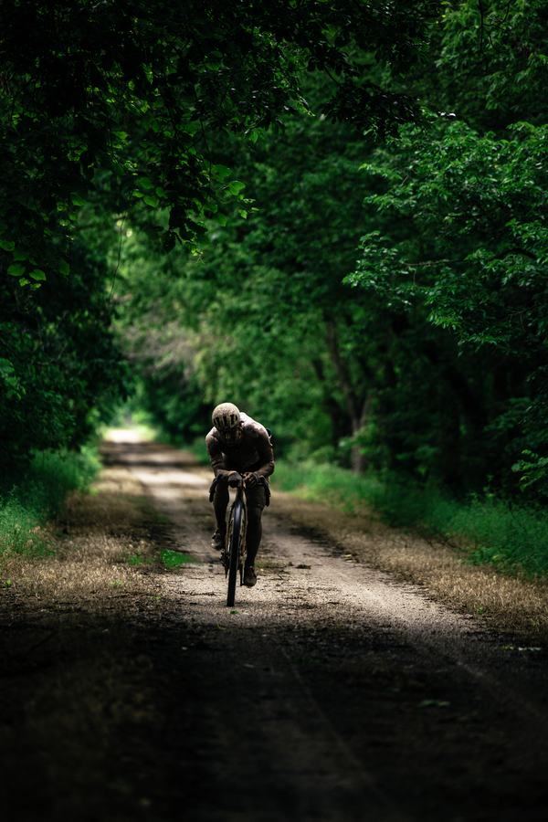 A lone rider in the tree tunnel